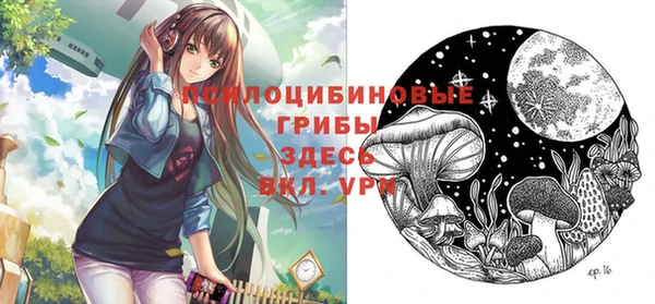 стаф Лихославль