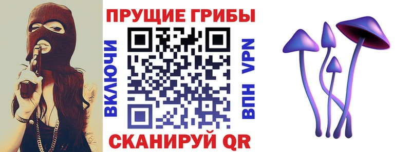 Купить  Алапаевск  Галлюциногенные грибы мухоморы 